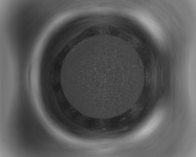 X0000102460383200808151412