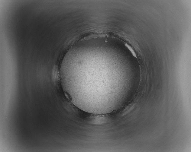 X0000102460384200808151412