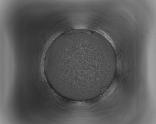 X0000102460385200808151412