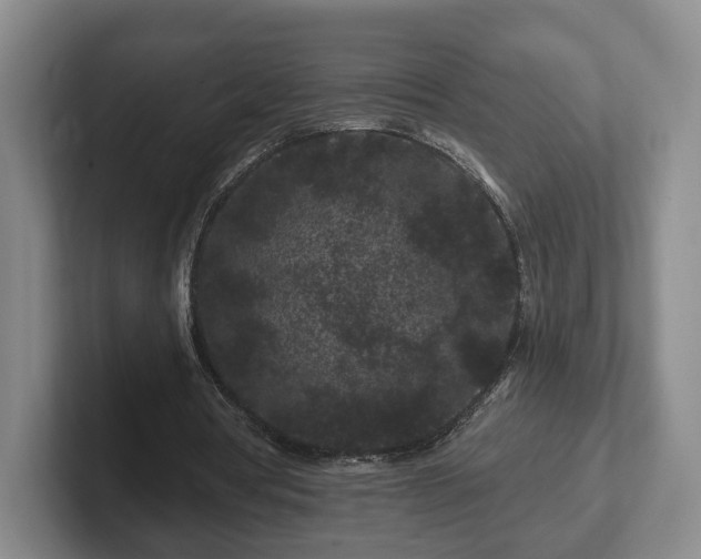 X0000102460386200808151412