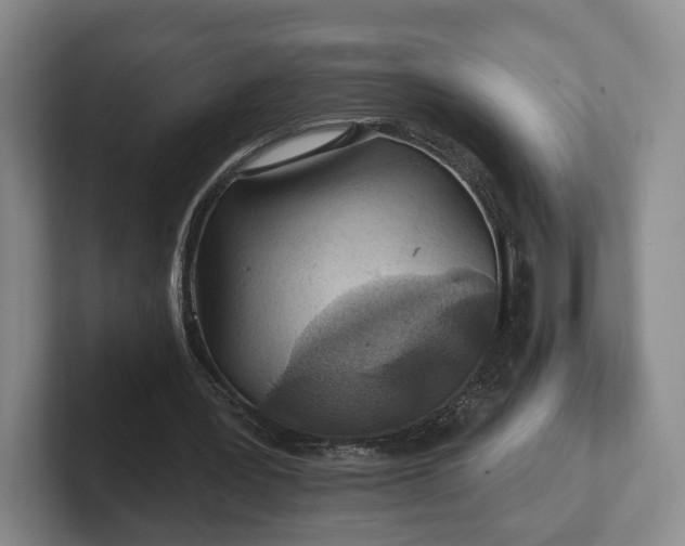 X0000102460387200808151412