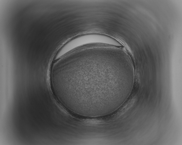 X0000102460389200808151412