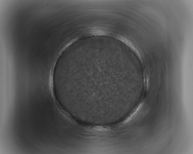 X0000102460390200808151412