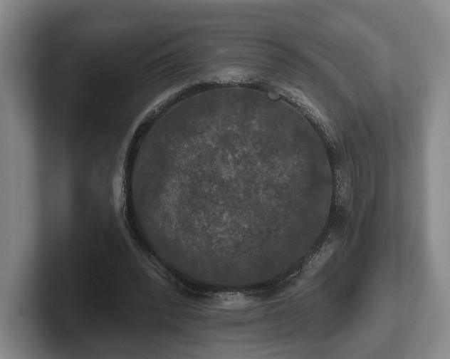 X0000102460392200808151412