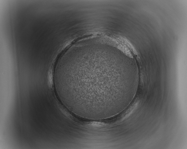 X0000102460393200808151412