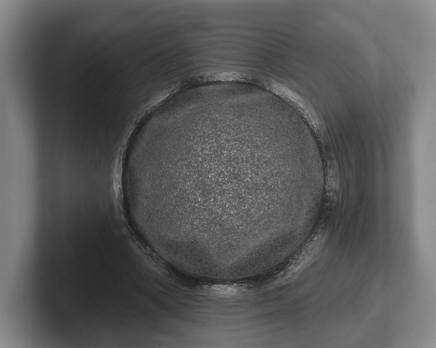 X0000102460394200808151412