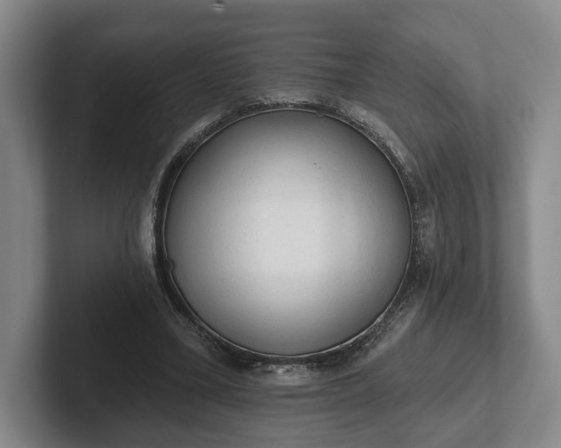 X0000102460395200808151412