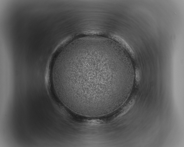 X0000102460396200808151412