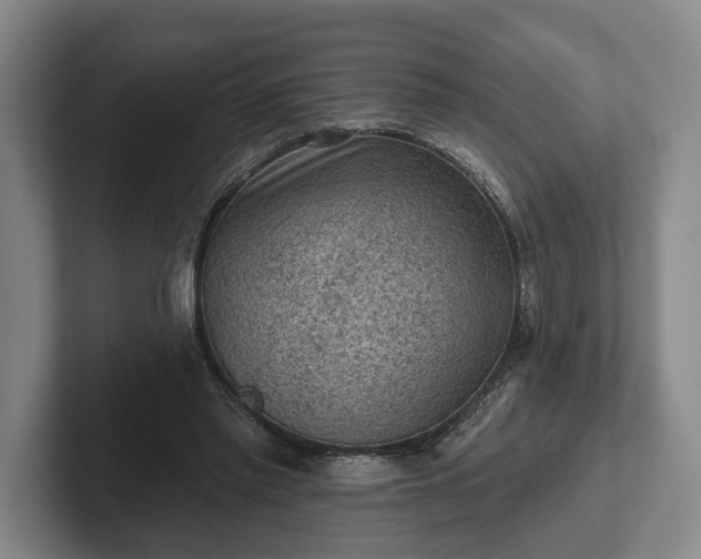 X0000102460397200808151412