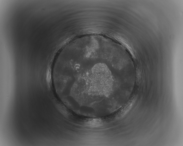 X0000102460398200808151412