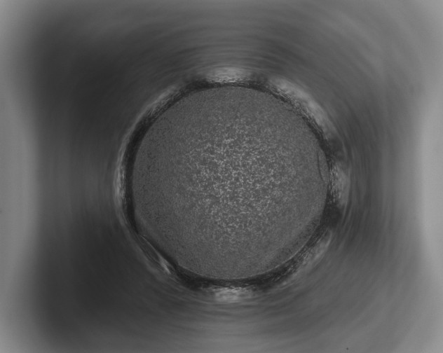 X0000102460400200808151412