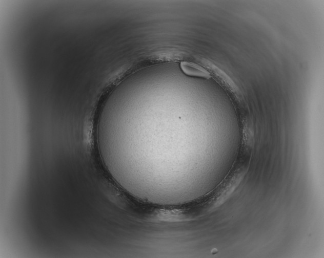 X0000102460403200808151411