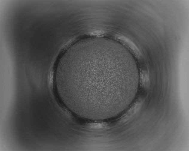 X0000102460404200808151411