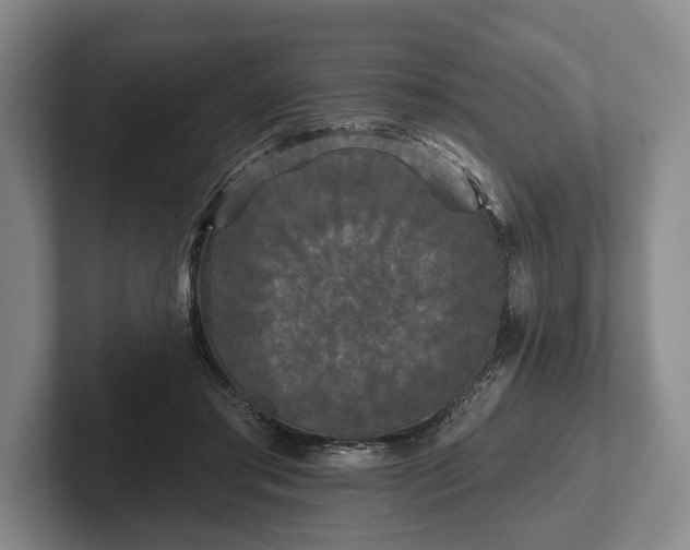 X0000102460405200808151411