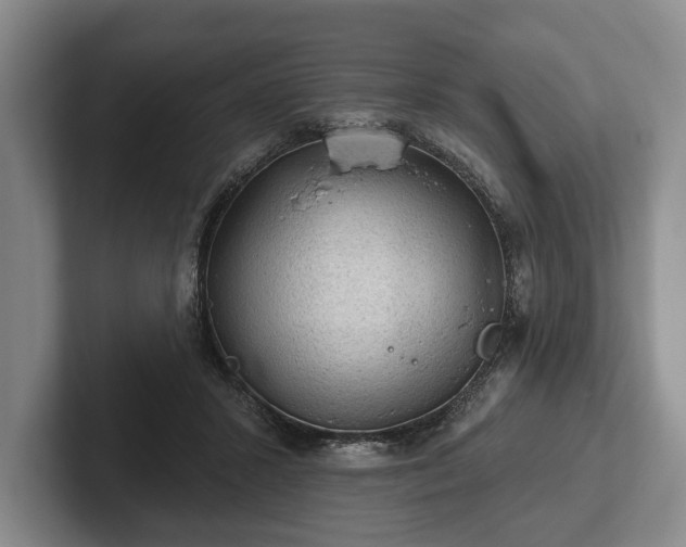 X0000102460407200808151411