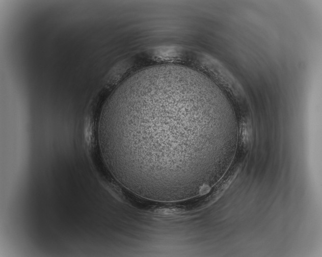 X0000102460408200808151411