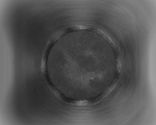 X0000102460410200808151411