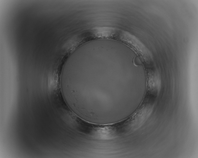 X0000102460411200808151411