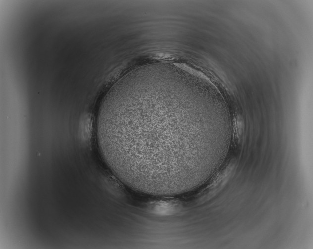 X0000102460412200808151411