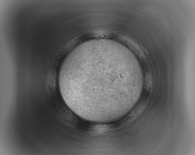 X0000102460413200808151411