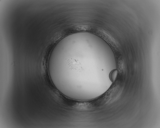 X0000102460414200808151411