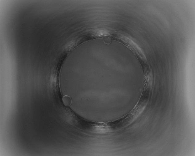 X0000102460415200808151411