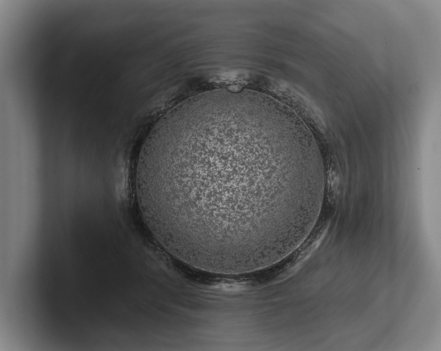 X0000102460416200808151411