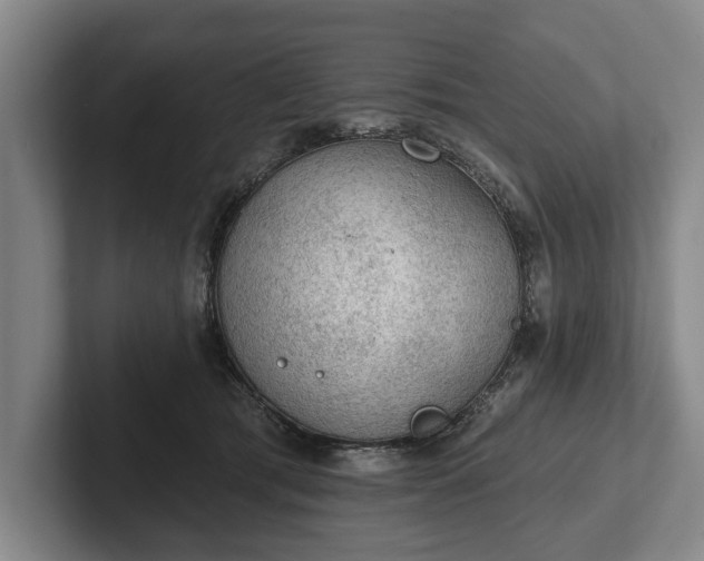 X0000102460417200808151411