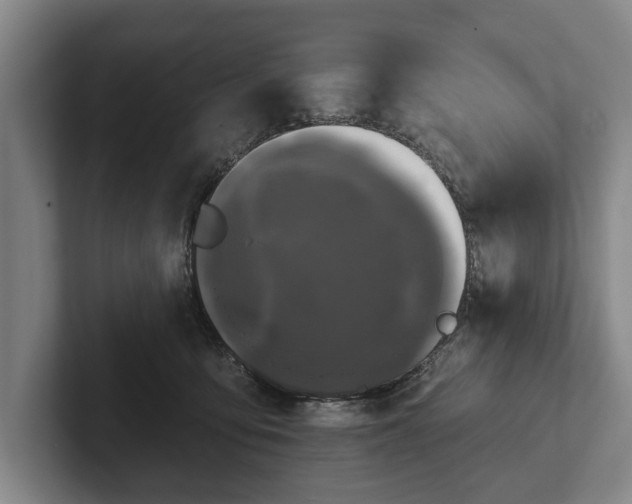 X0000102460419200808151411