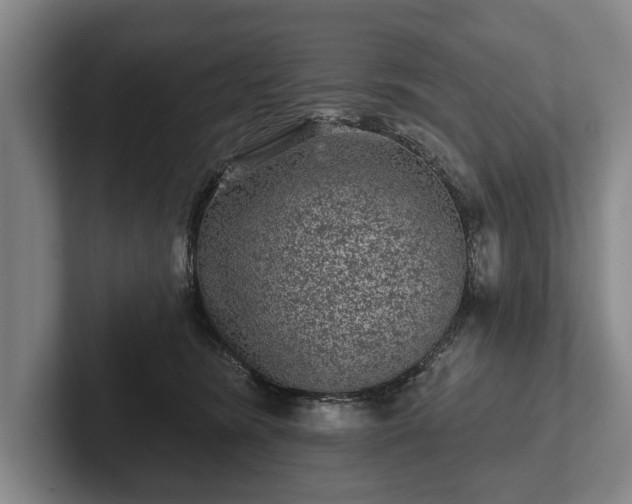 X0000102460420200808151411