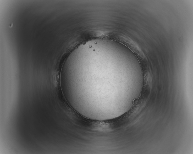 X0000102460421200808151411