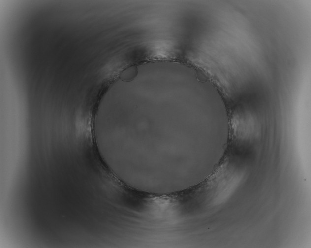 X0000102460423200808151411