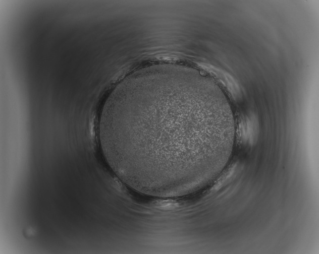 X0000102460424200808151411