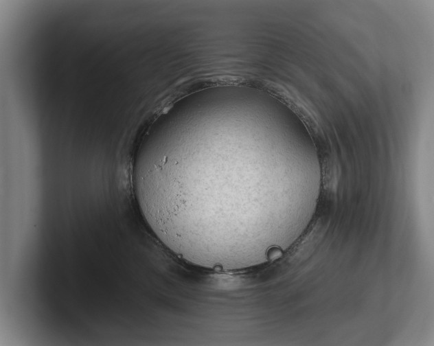 X0000102460425200808151411