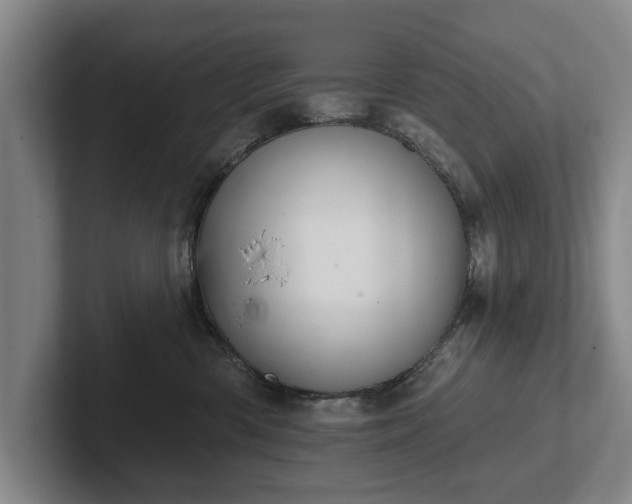 X0000102460426200808151411