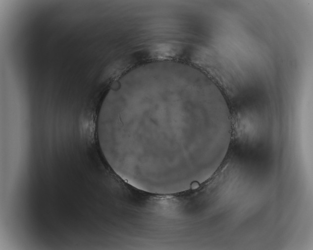 X0000102460427200808151411