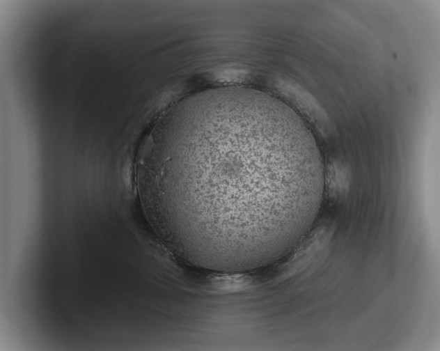 X0000102460428200808151411