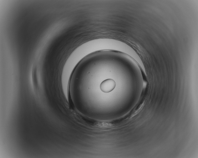 X0000102460429200808151411