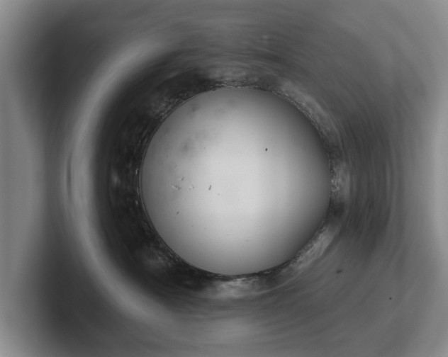 X0000102460430200808151411