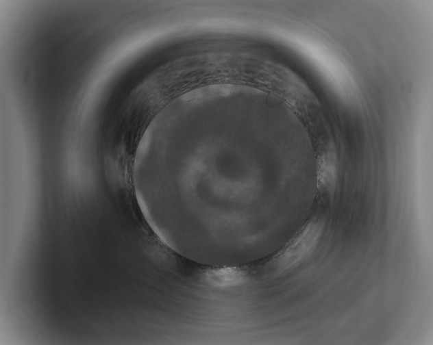 X0000102460431200808151411