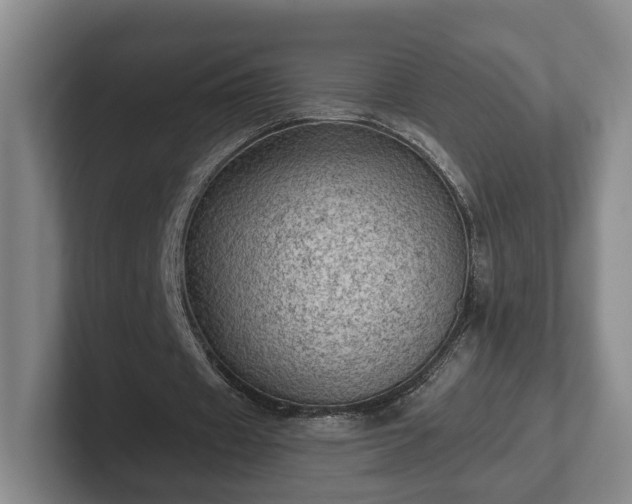 X0000102460433200808151410