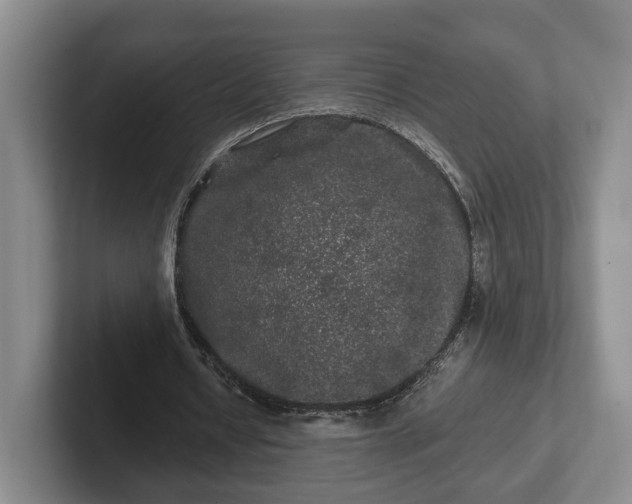 X0000102460434200808151410