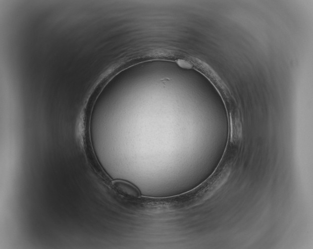 X0000102460435200808151410