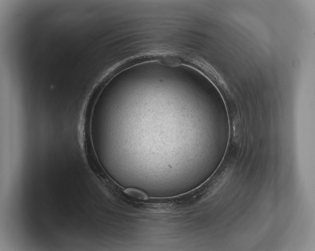 X0000102460436200808151410