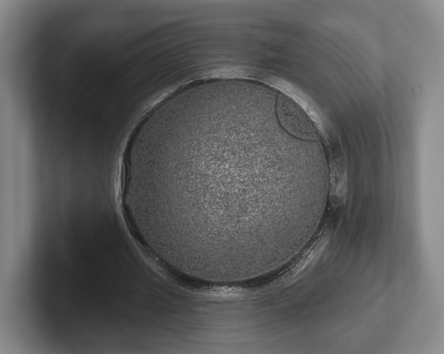 X0000102460437200808151410