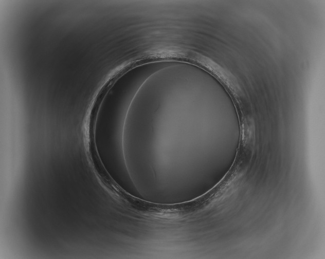 X0000102460438200808151410