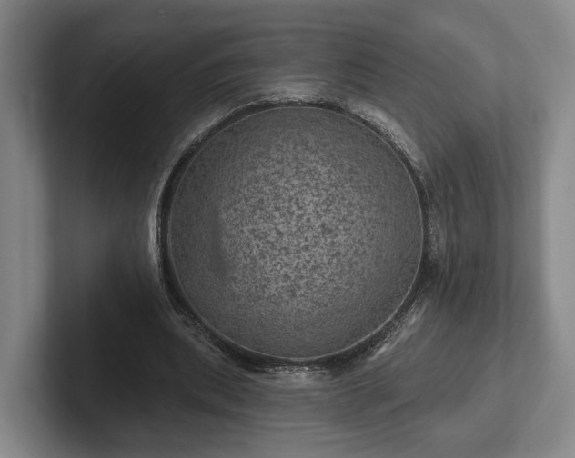 X0000102460439200808151410