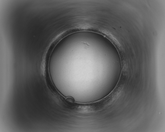 X0000102460440200808151411