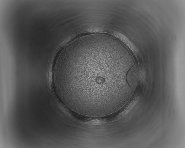 X0000102460441200808151411