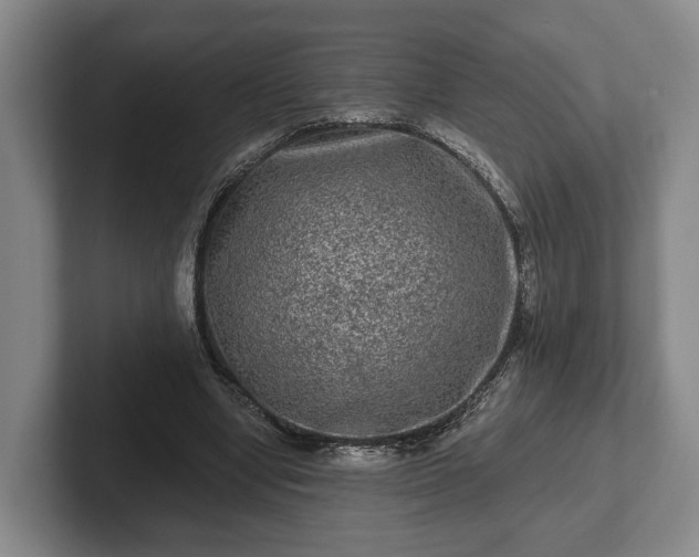 X0000102460442200808151411